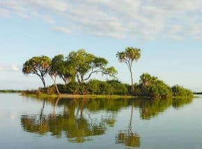 Rufiji river