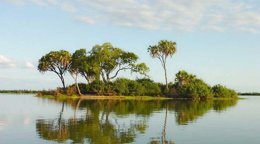 Rufiji river