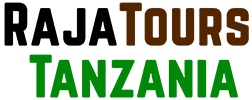 Rajatours Logo