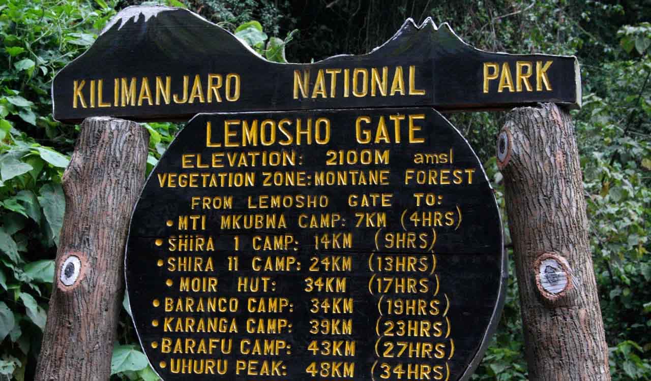 Image result for lemosho gate