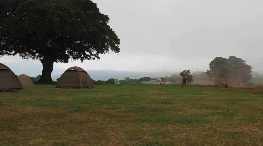 Ngorongoro simba campsite