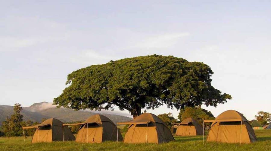 Camping safari in Tanzania