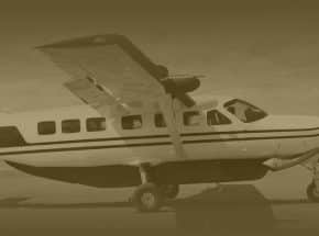 Flying safari