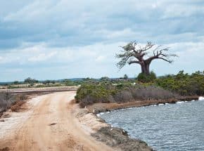 Saadani day trip