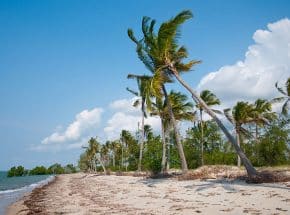 Saadani beach