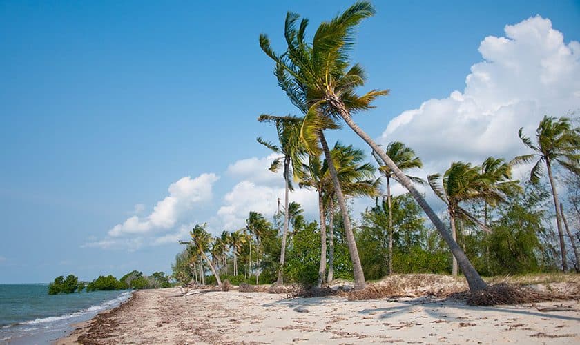 Saadani beach