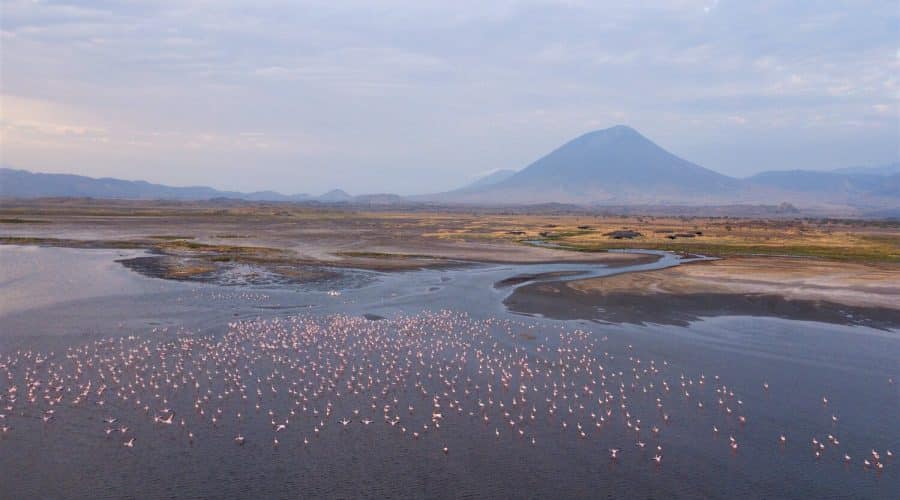 Oldonyo lengai Natron