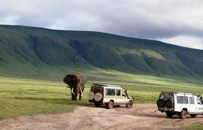 Ngorongoro game drive
