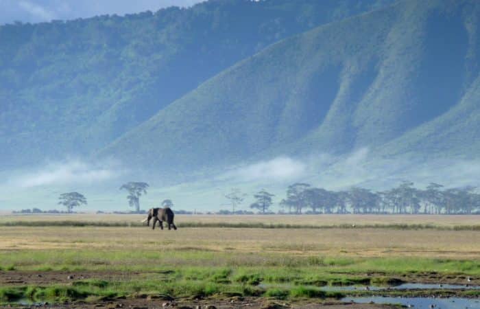 majestic_ngorongoro_crater