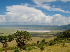 Ngorongoro highlands