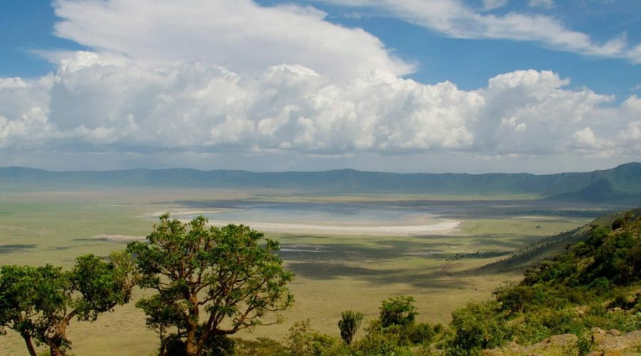 Ngorongoro highlands